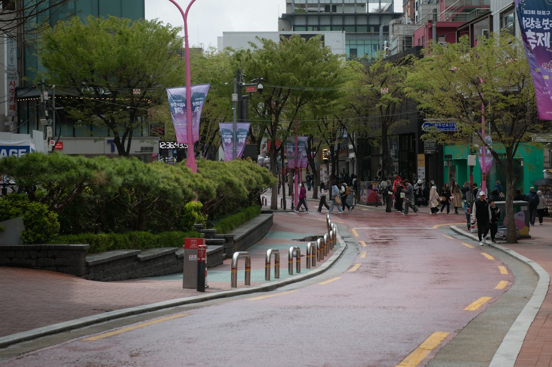 매일도시락배달 참고 이미지 2