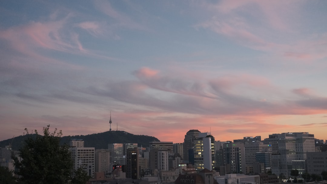 저녁메뉴추천 참고 이미지 2